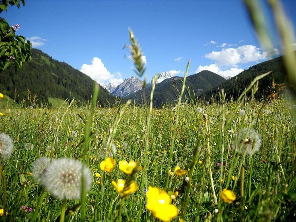 Flatscherhof Сан-Лоренцо-ди-Себато Экстерьер фото